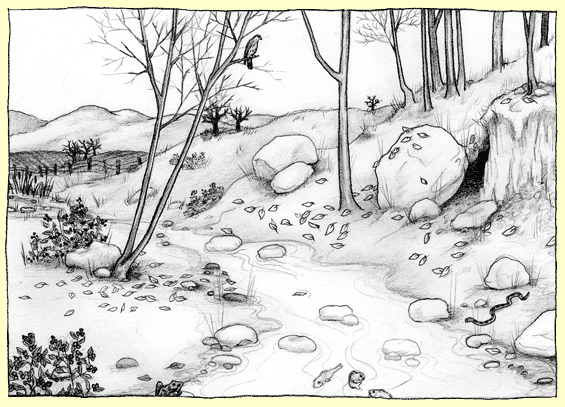 illustration of nature scene