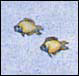 bit of illustration of woman floating in innertube